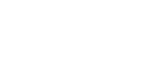 میگاپے logo